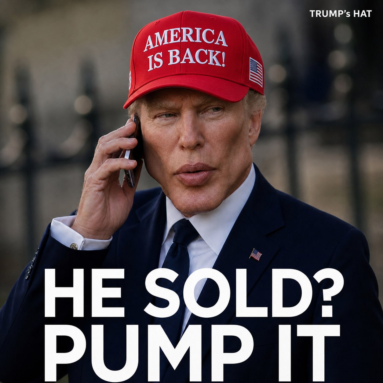 America Party Meme 3